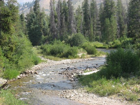 Boise Ranch Property For Sale