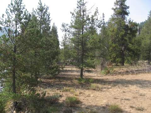 Boise Ranch Property For Sale