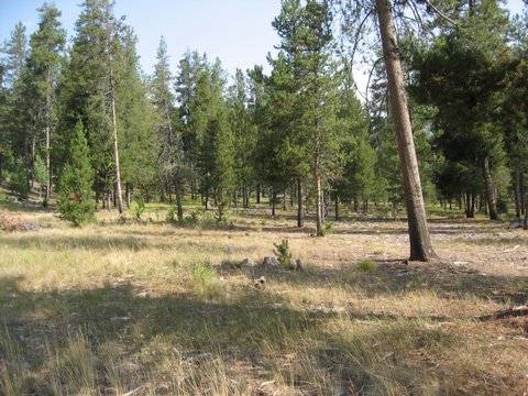 Boise Ranch Property For Sale